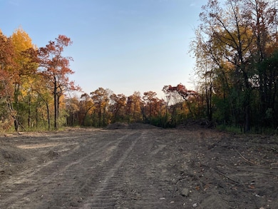 3857 Mayo Ridge Ln SW, Rochester, MN 55902 - photo 3