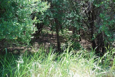 41006 Flagstone Cir, Whitney, TX 76692 - photo 4