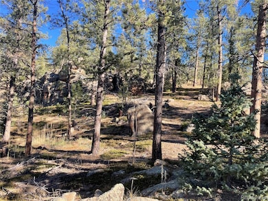 0 Shadow Mountain Dr, Conifer, CO 80433 - photo 2