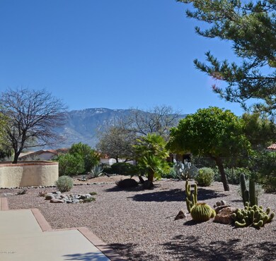 970 E Crown Ridge Dr, Oro Valley, AZ 85755 - photo 3