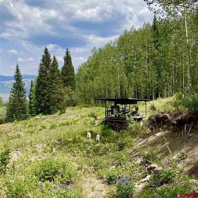 1008 Red Mountain Ranch Upper Loop, Crested Butte, CO 81224 - photo 6