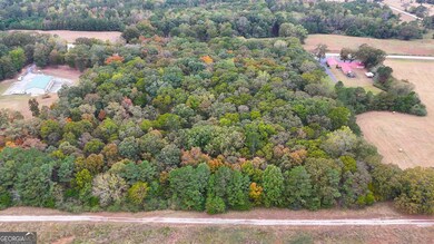 12895 Highway 36, Covington, GA 30014 - photo 4