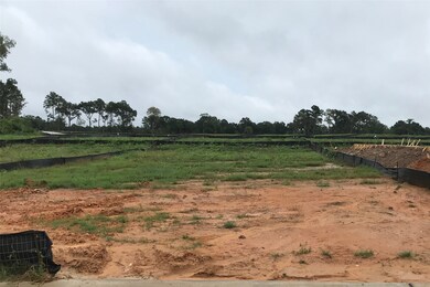 22723 Hollow Amber Dr, Hockley, TX 77447 - photo 7