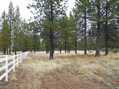 20180 Red Sky Ln, Bend, OR 97702 - photo 6