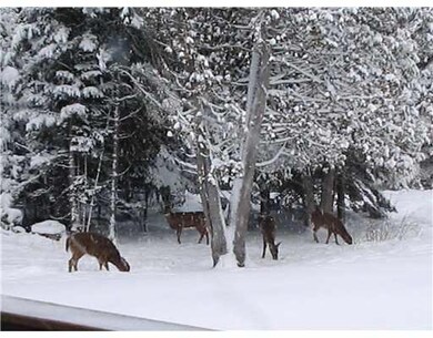 Wildlife