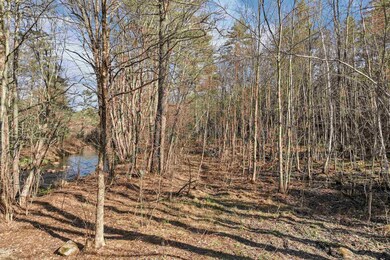 00 Middle Rd unit 23, Sandwich, NH 03227 - photo 5