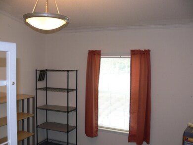 894 Dewitt Smith Rd, Pittsboro, NC 27312 - photo 7