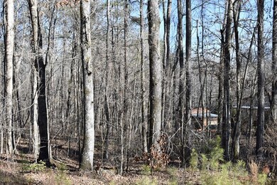 135 Taylor Rd, Gray, GA 31032 - photo 4