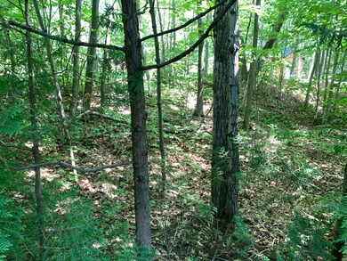 Nicely Wooded