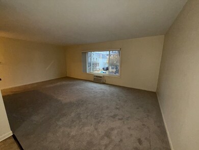 110 N Kenilworth Ave unit 1C, Oak Park, IL 60301 - photo 6