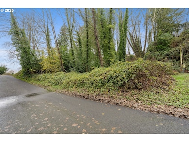 0 St, Nehalem, OR 97131 - photo 4