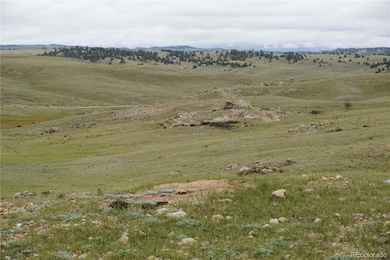 0 High Dr unit REC5498125, Hartsel, CO 80449 - photo 7