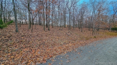 Lot #302 Lake Dr, Jasper Township, MO 65079 - photo 3