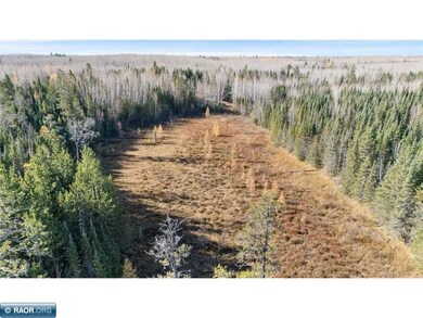 6457 Colombe Rd, Chisholm, MN 55719 - photo 6