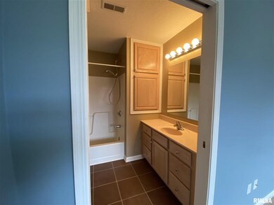 4541 N Thornhill Dr unit 203, Peoria, IL 61615 - photo 6