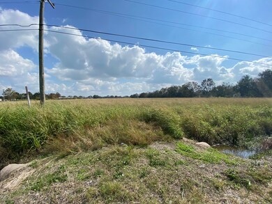 IMG-1668 (1)