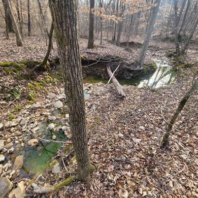 0 Mathis Cemetery Rd unit RTC2489831, Stewart, TN 37175 - photo 7