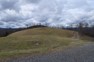 0 Big Springs Rd unit 19372195, Eidson, TN 37731 - photo 4