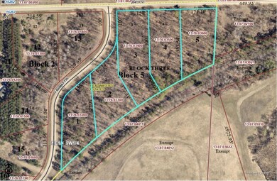 TBD Lot 1 Fairway Trail, Henrietta Township, MN 56470 - photo 4