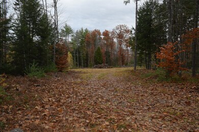 Map16Lot19 Hemlock Bridge Rd, Fryeburg, ME 04037 - photo 2