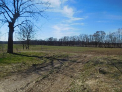 DSCN2991_4875