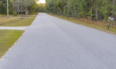 00 Tyler Rd, Orangeburg, SC 29115 - photo 2