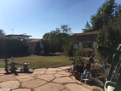 Back Yard Looking North