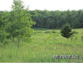 meadows