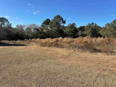 462 Olmstead Rd, Dozier, AL 36028 - photo 5