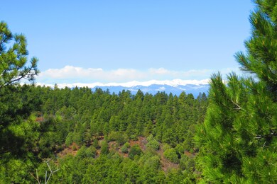 0 Chipmunk Dr unit B46 17-366, Trinidad, CO 81082 - photo 4