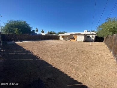 Borrego 11