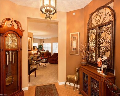 705 Aqua Marine Blvd, Avon Lake, OH 44012 - photo 2