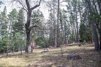 Large .46 acre parcel
