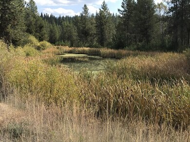 Located Just 6 Miles From Lake Cascade
