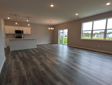 10462 Goodview Ave S, Cottage Grove, MN 55016 - photo 4