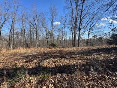 Tract 37 Village Dr, Cohutta, GA 30710 - photo 4