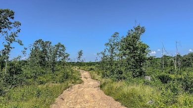 0 W Trace Creek Rd, Waverly, TN 37185 - photo 3