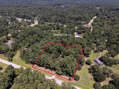 24301 W Country Ln, Hockley, TX 77447 - photo 6