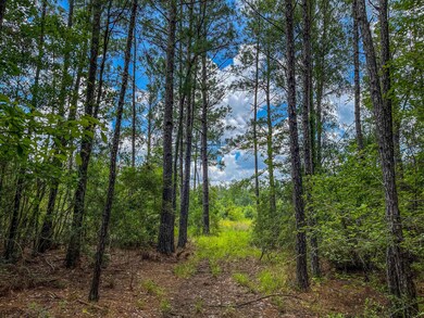 0 Tbd Highway 87 unit LotWP001, Bleakwood, TX 75956 - photo 7