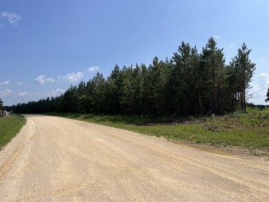 1 Rockhouse Rd, Flatwoods, TN 37096 - photo 6