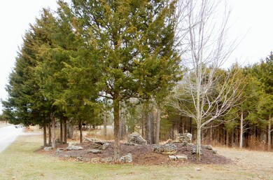 DSCN0068.JPG
