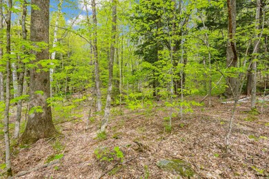 0 Phen Basin Rd, Waitsfield, VT 05673 - photo 5