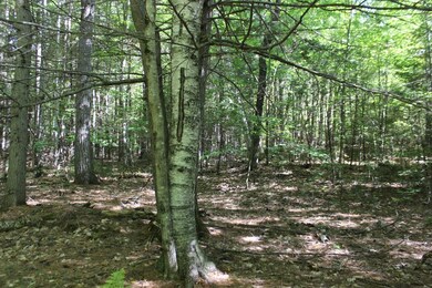 0 Ivy Cir unit 1239259, Limerick, ME 04048 - photo 2