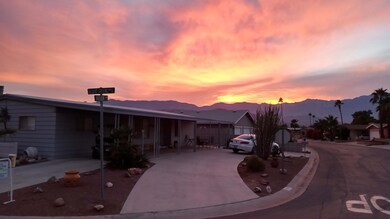 jamie sunset