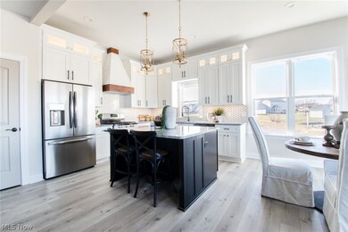 10105 Carrie Ct, New Middletown, OH 44442 - photo 4