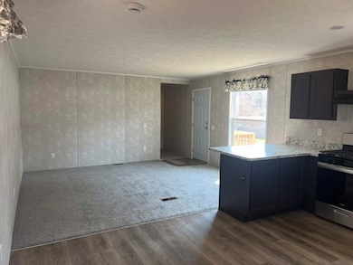 669 Monte Vista Rd, Candler, NC 28715 - photo 6