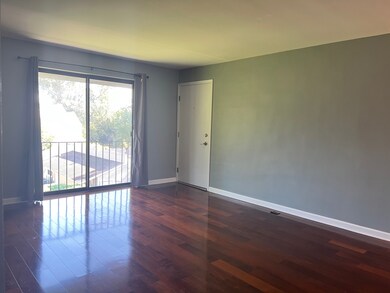 1725 S Washington St unit 1, Naperville, IL 60565 - photo 3