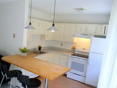 170 E Hadley Rd unit 12, Amherst, MA 01002 - photo 4