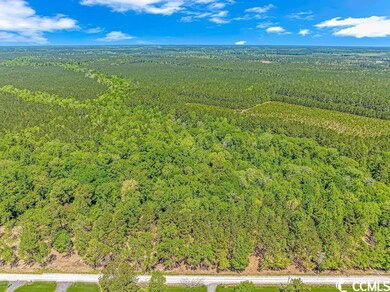 TBD Tranquil Rd unit Lot 1, Conway, SC 29527 - photo 7