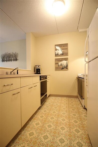 28 Packard Rd S unit 316, Waterville Valley, NH 03215 - photo 3